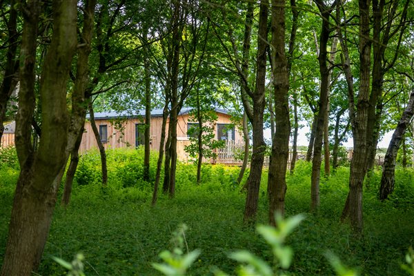 ash lodge
